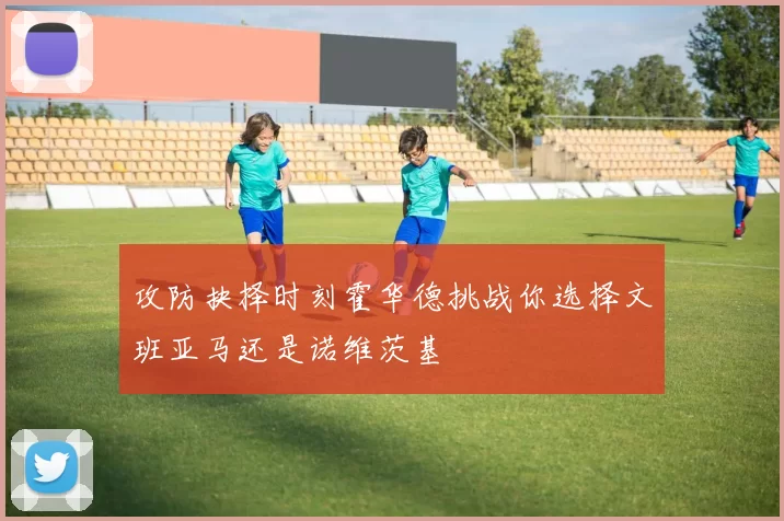 攻防抉择时刻霍华德挑战你选择文班亚马还是诺维茨基